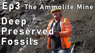 Ammolite Mining Episode 3