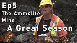 Ammolite Mining Episode 5