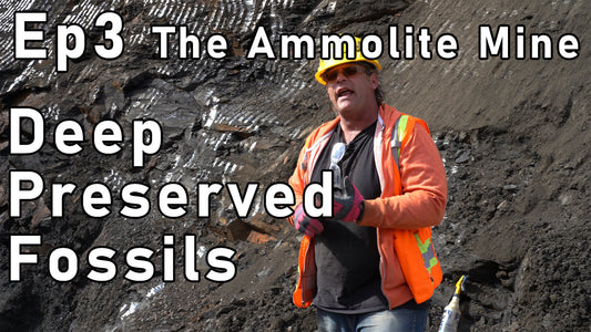 Ammolite Reality TV Mining Series Extended Cut Episode 3: Deep Preserved Fossils