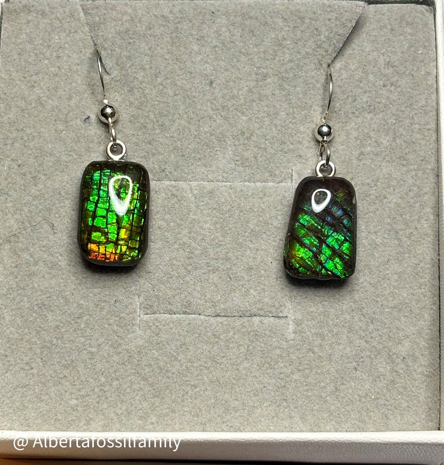 Ammolite Dangler Earrings
