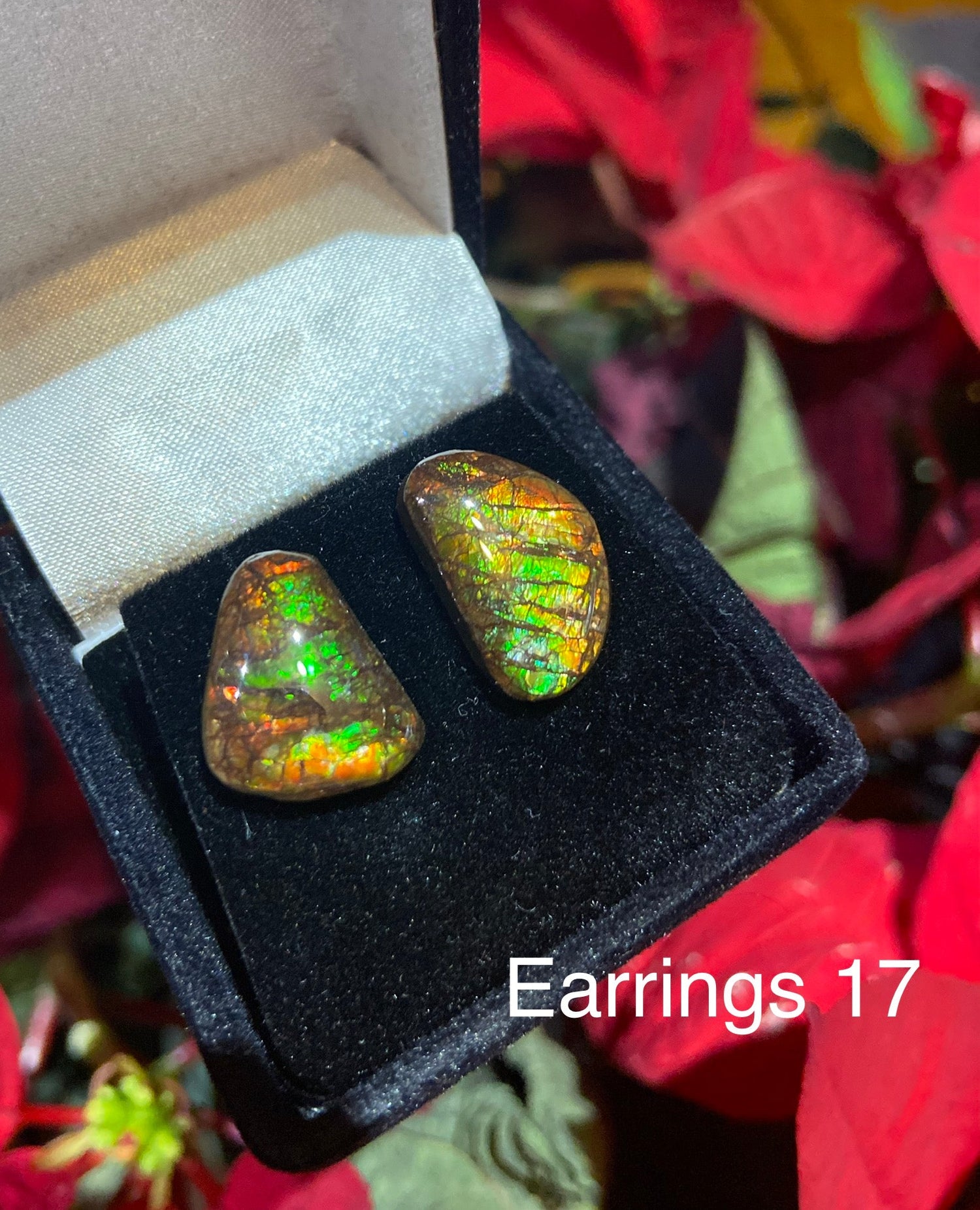 Ammolite Stud Earrings