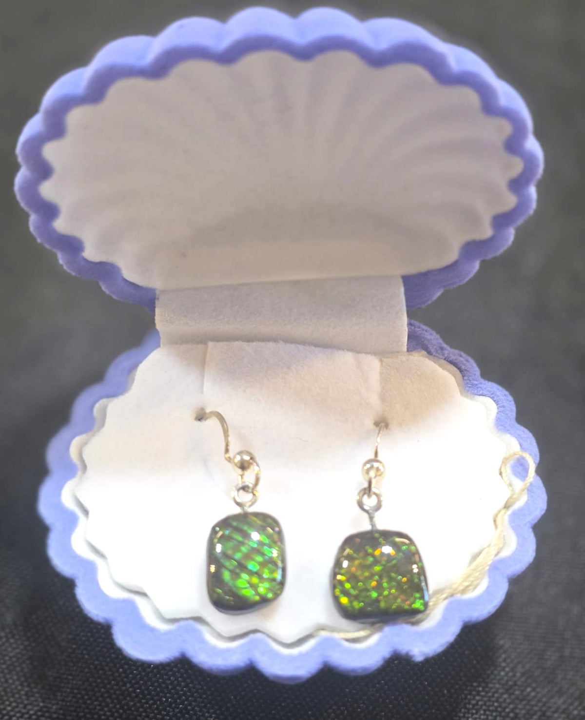 Ammolite Dangler Earrings 25-024