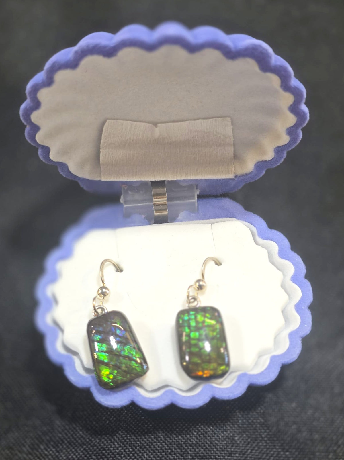 Ammolite Dangler Earrings 25-019