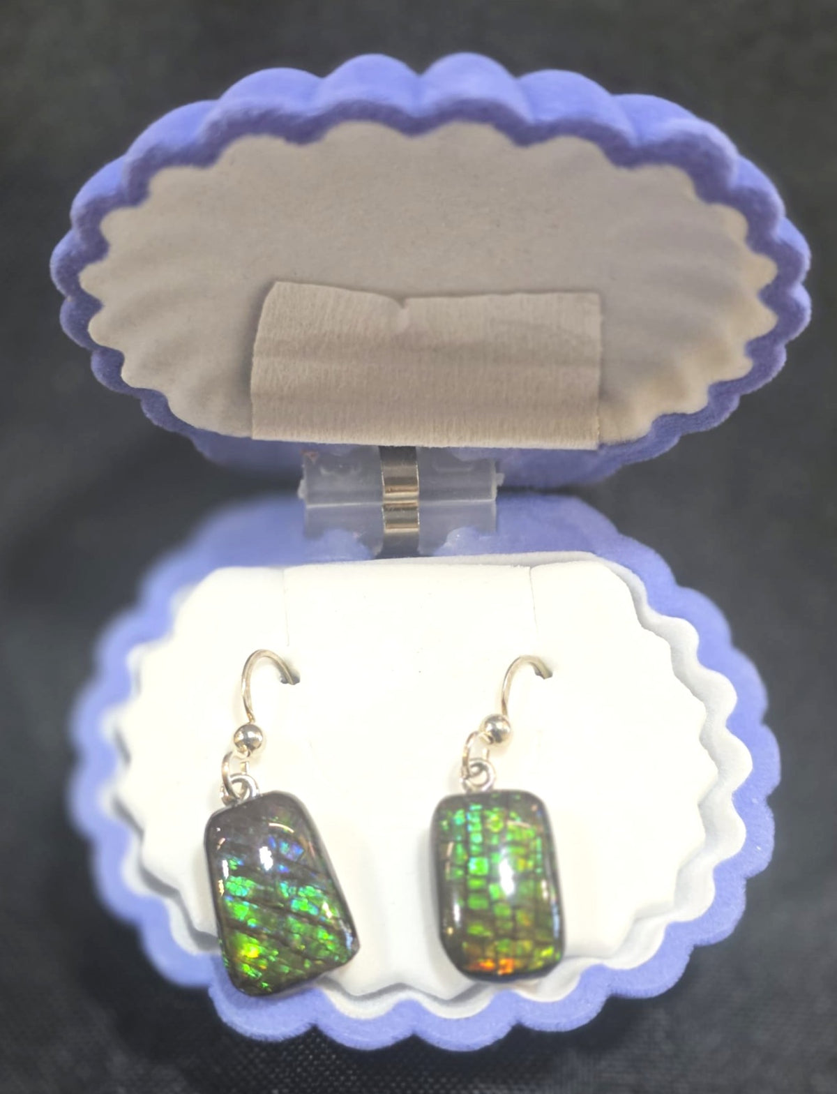 Ammolite Dangler Earrings 25-019