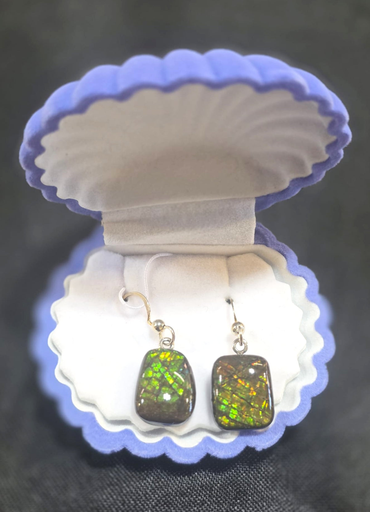 Ammolite Dangler Earrings 25-018