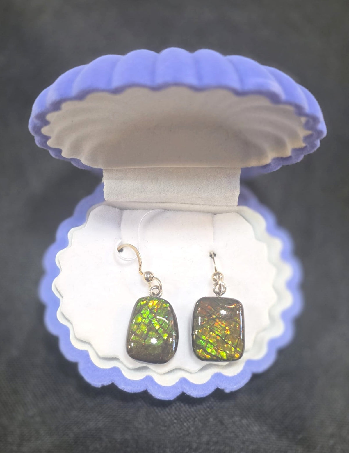 Ammolite Dangler Earrings 25-018