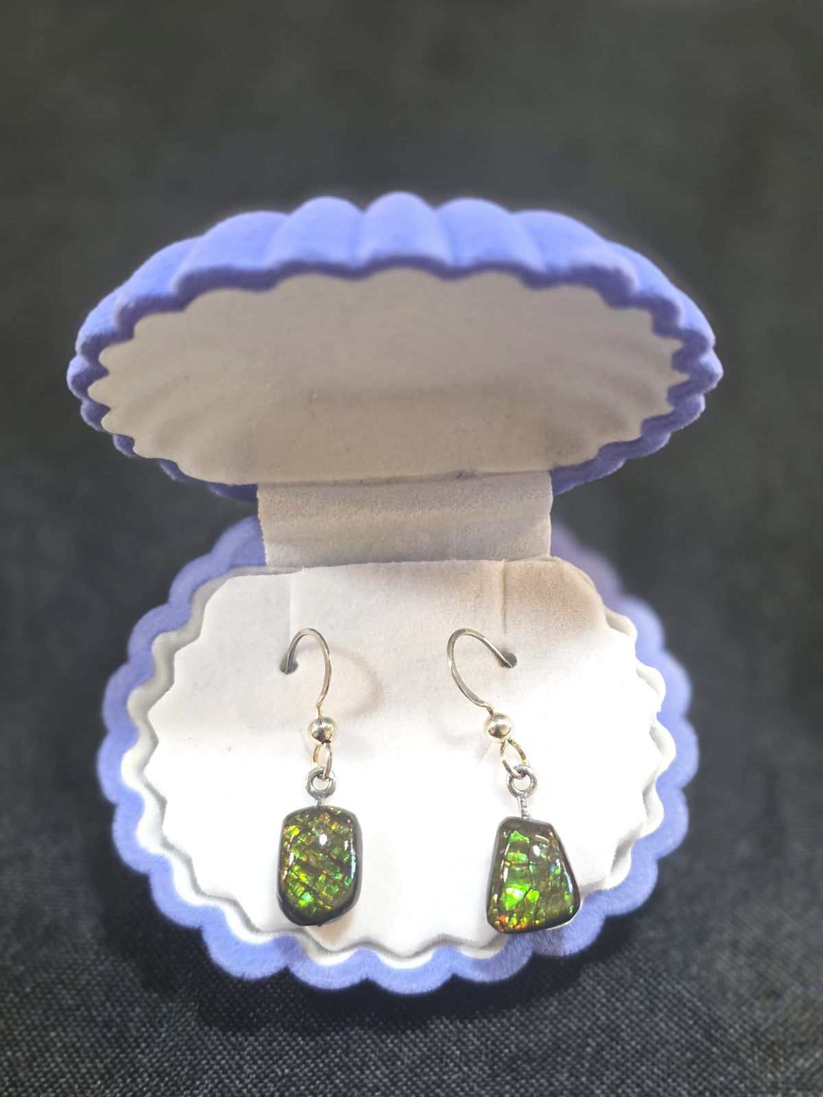 Ammolite Dangler Earrings 25-022