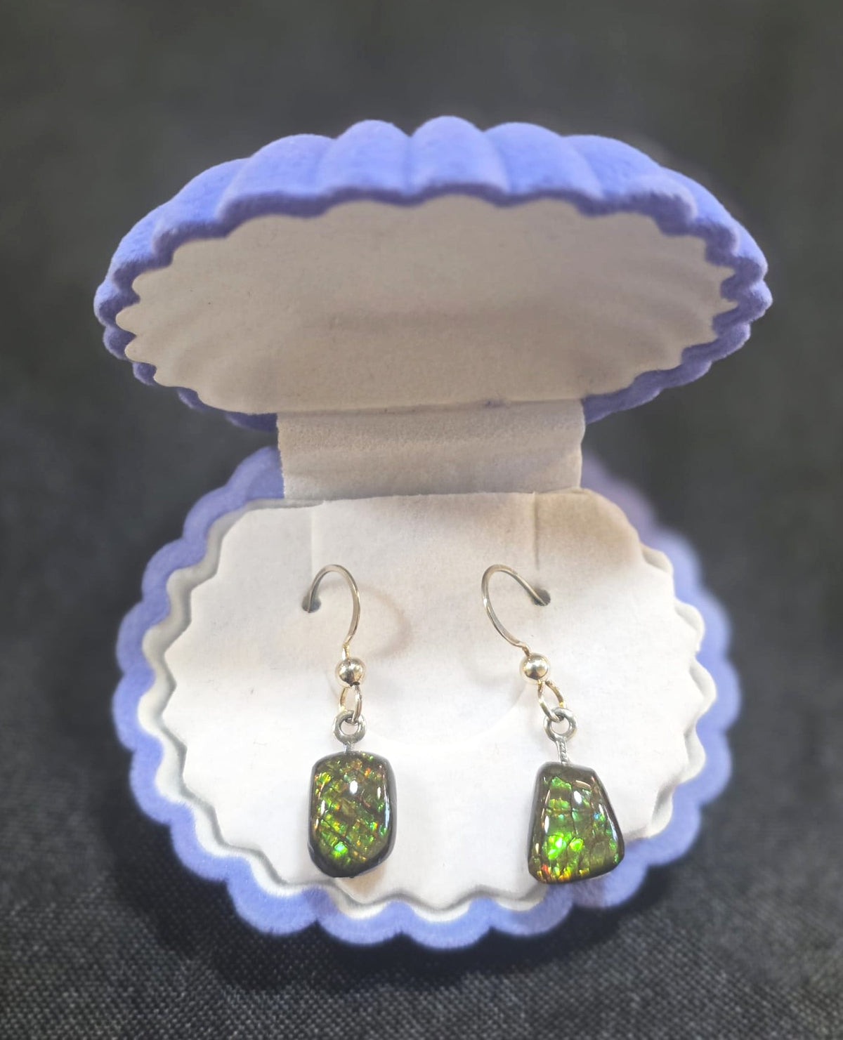 Ammolite Dangler Earrings 25-022