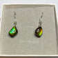 Ammolite Dangler Earrings25-001