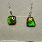 Ammolite Dangler Earrings25-005