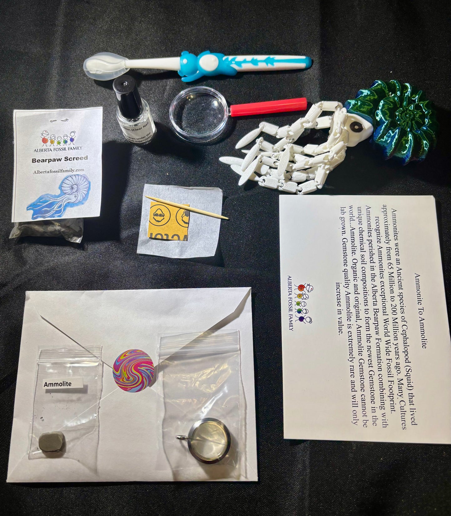 Ammolite Jewelry Creator Kit