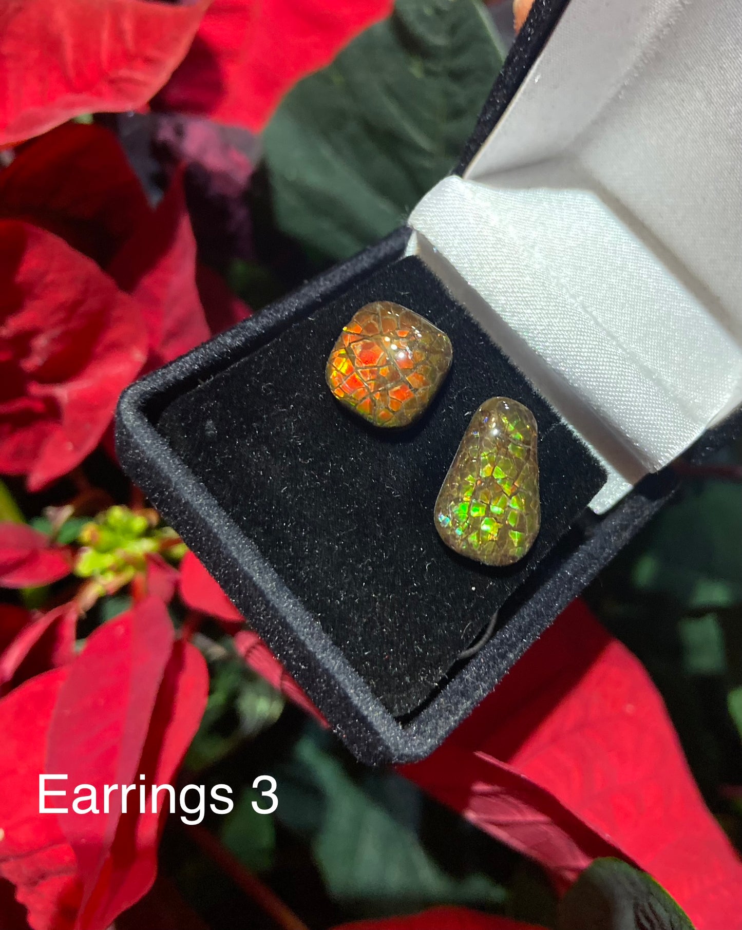 Ammolite Earrings 003