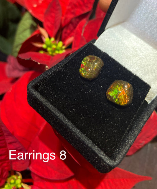 Ammolite Earrings 008