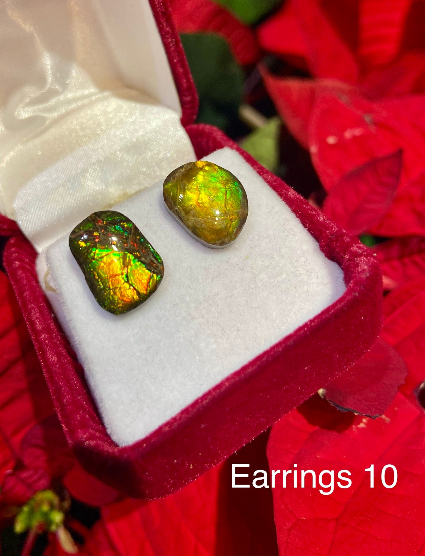 Ammolite Earrings 010