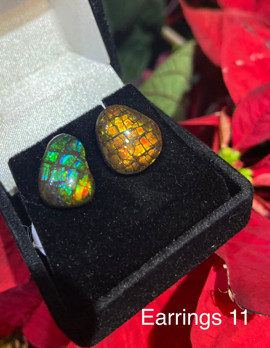 Ammolite Earrings 011