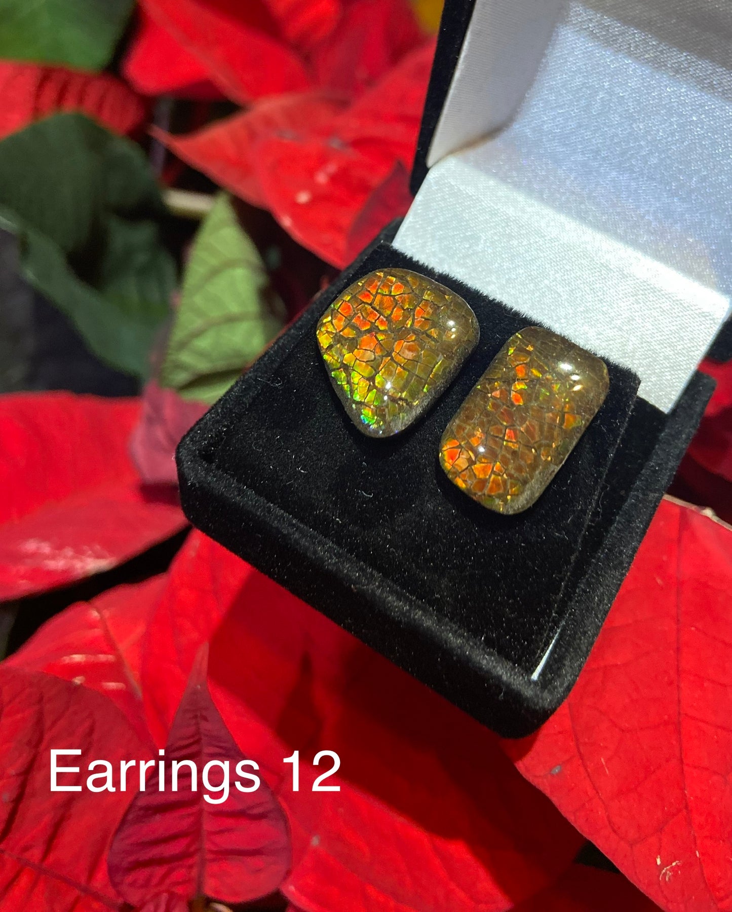 Ammolite Earrings 012