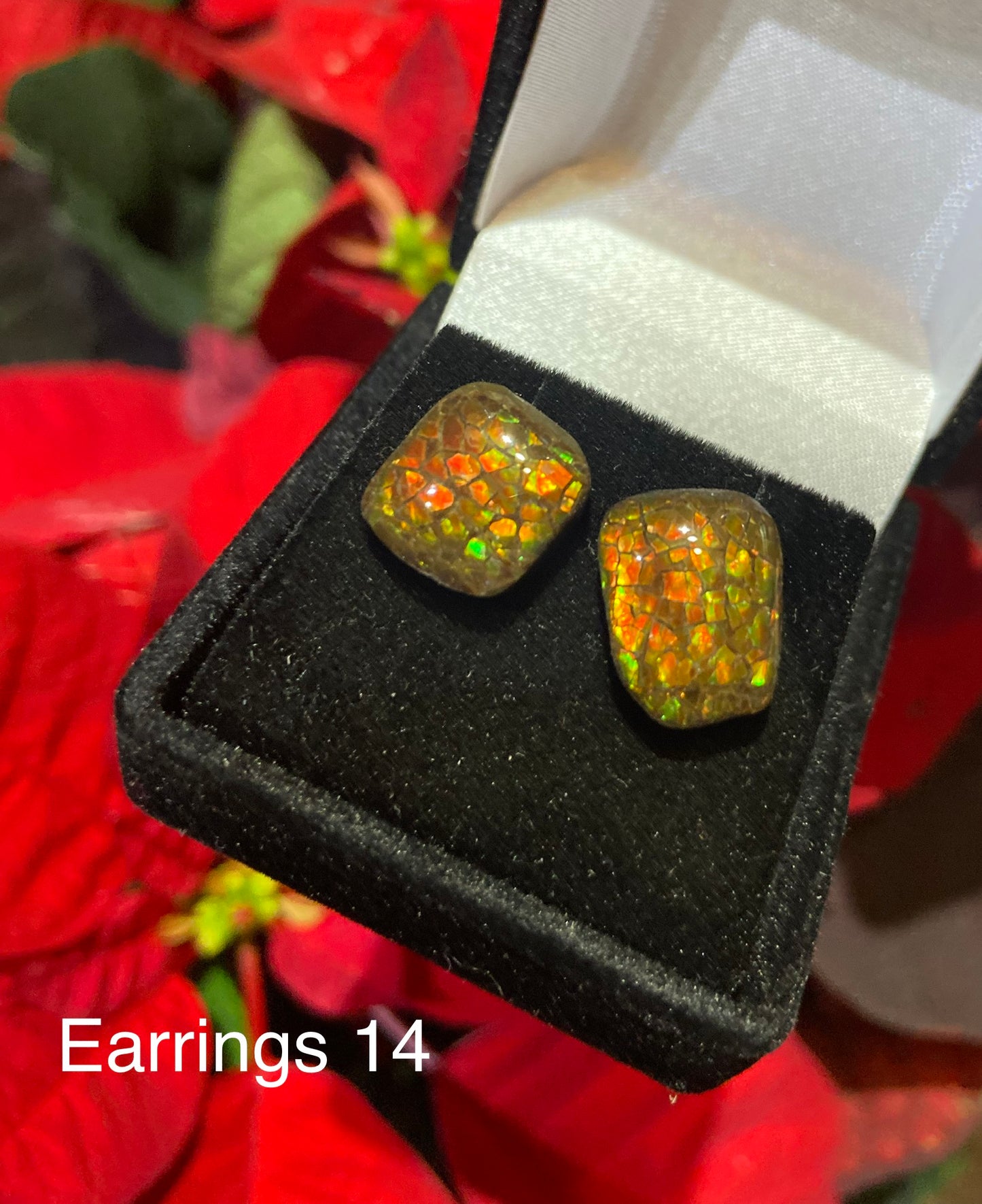 Ammolite Earrings 014
