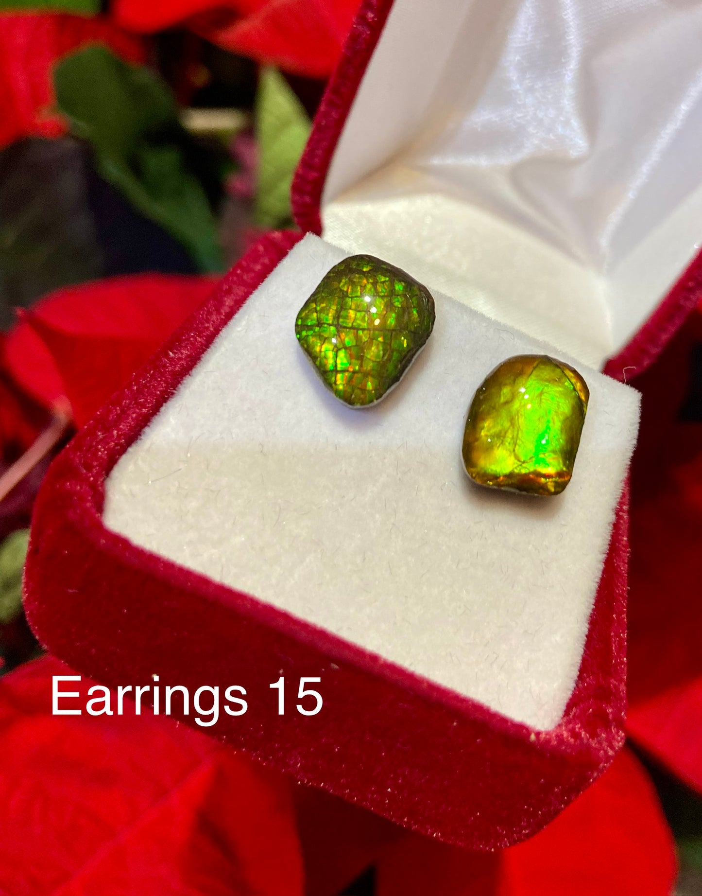Ammolite Earrings 015