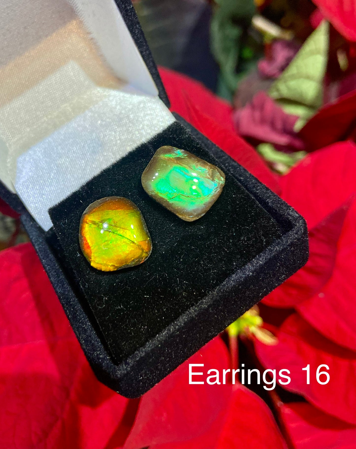 Ammolite Earrings 016