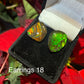 Ammolite Earrings 018