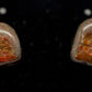 Ammolite Earrings 022