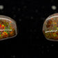 Ammolite Earrings 024