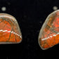 Ammolite Earrings 026