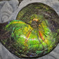18 inch Ammonite Fossil