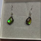 Ammolite Dangler Earrings25-001